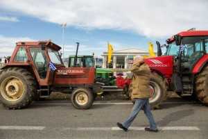 agrotes