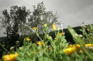 21st of March - The beginning of Spring / 21η Μαρτίου - Η αρχή της άνοιξης