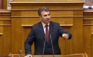 zois_vouli