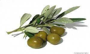 olives elies