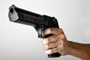 gun
