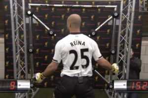 reina