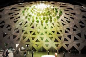 treeoflife 05