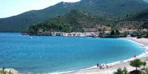 kyparrisi