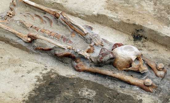 skeletos