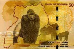 ugandamain