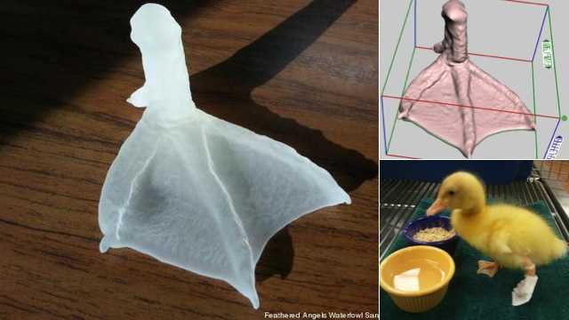 buttercup_3d_printed_foot