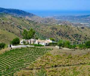 cortijo
