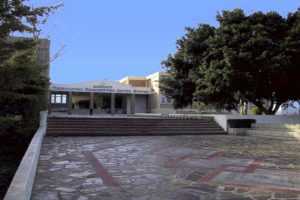 teiA