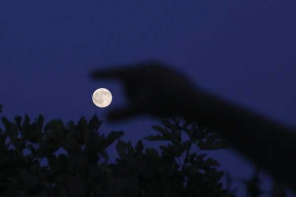blue moon1