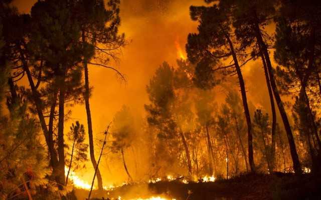 A wildfire blazes in Torneros de Jamuz n...A wildfire blazes in Torneros de Jamuz near Leon on August 20, 2012. Numerous wildfires have broken out across Spain in the sweltering heat in recent weeks, an extra headache for authorities struggling to get the country out of its financial crisis and recession. AFP PHOTO/Pedro ARMESTREPEDRO ARMESTRE/AFP/GettyImages